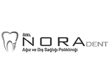 noradent-1